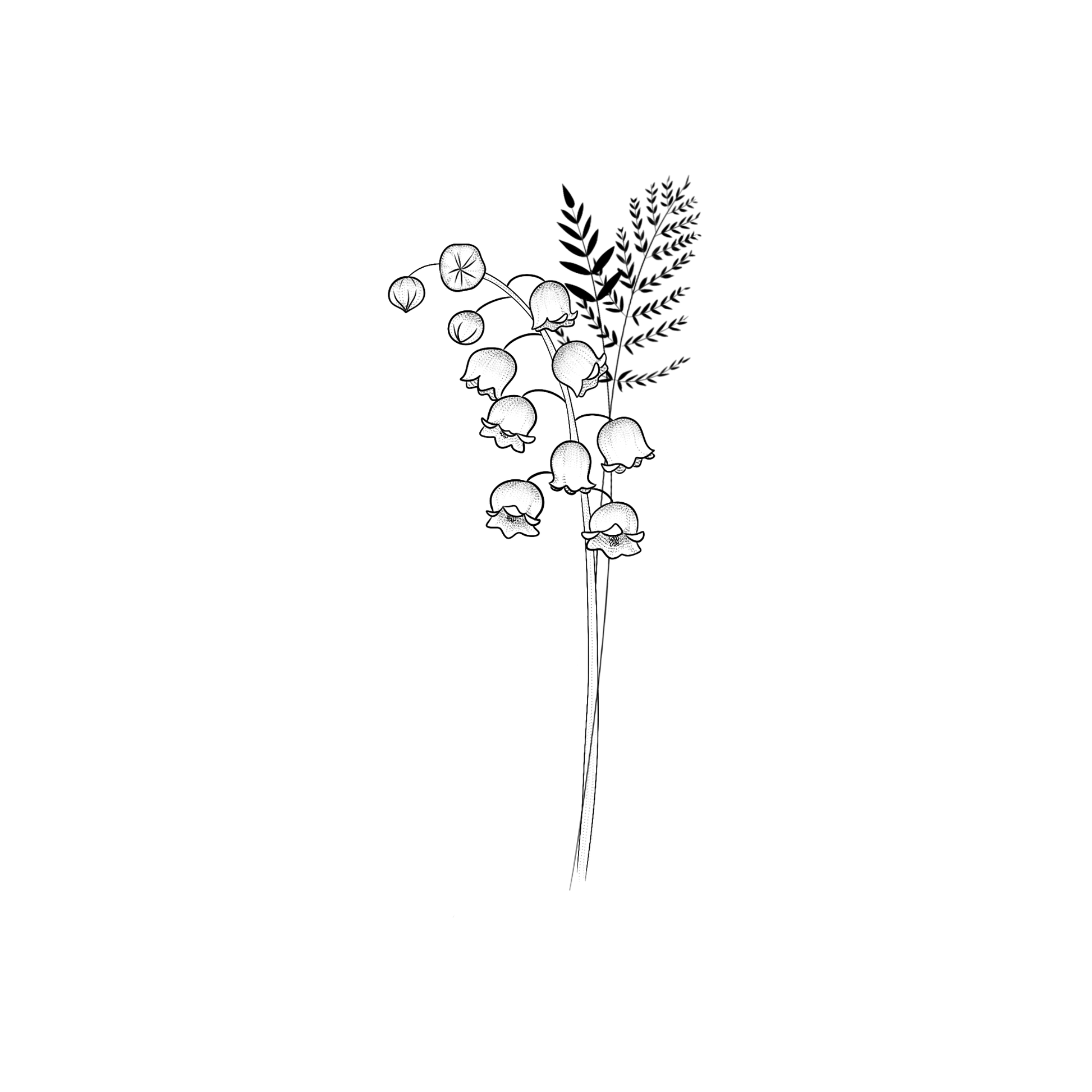 Ontwerp van een lelietjes-van-dalen met twee sierlijke graantakjes er bij.