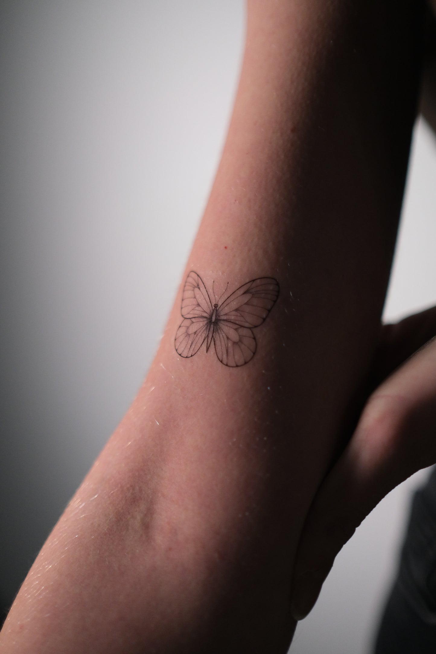 Cancer - Zodiac sign