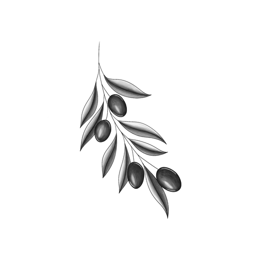 Ontwerp van een lichtgebogen olijventak met daar aan 4 donkere olijven, met geschaduwde bladeren er bij.