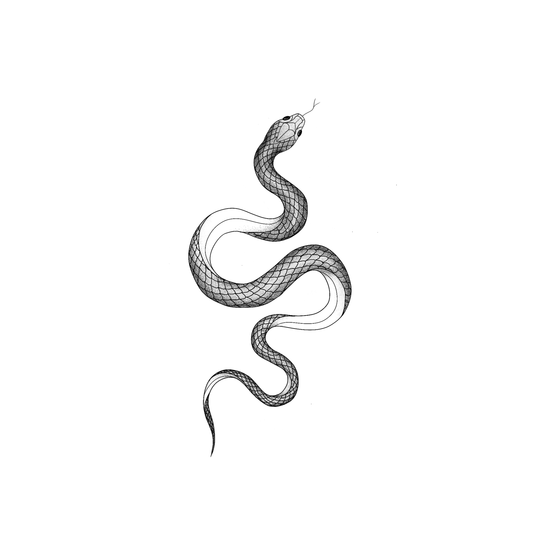 Ontwerp van een gedetailleerde slang met schubben en schaduw.