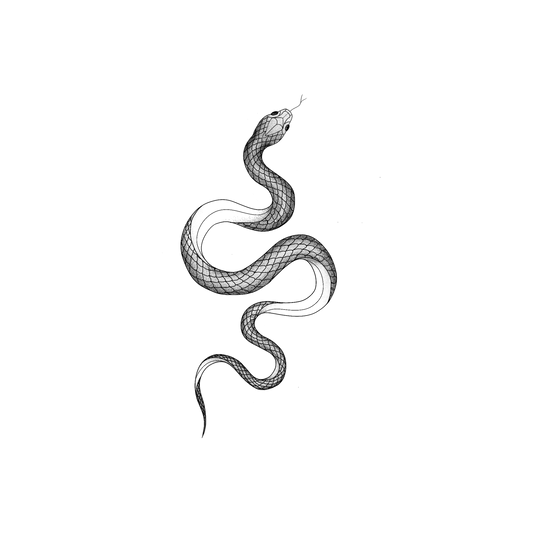 Ontwerp van een gedetailleerde slang met schubben en schaduw.