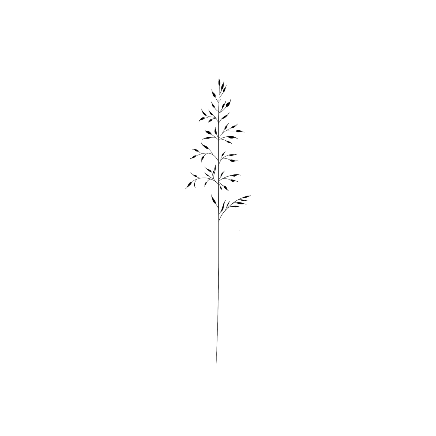 Ontwerp van een minimalistisch Rood Zwenkgras sprietje.
